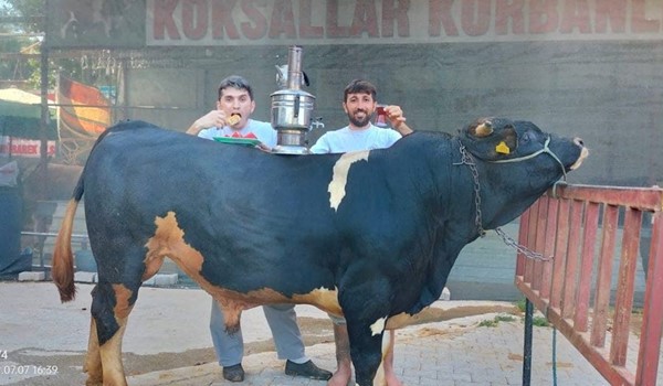 Sırtına sofralar kurulan KURBANLIKLAR