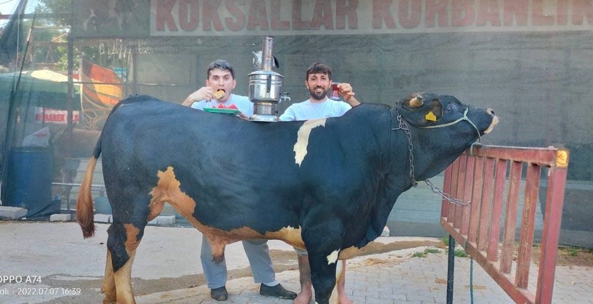 Sırtına sofralar kurulan KURBANLIKLAR