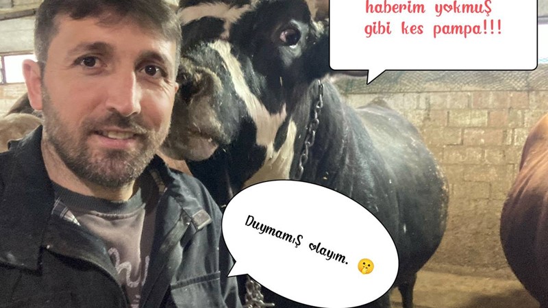 Hayvanlarımızın dilek ve isteklerine