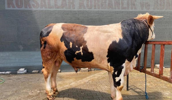 BU SİMİT BİR BAŞKA