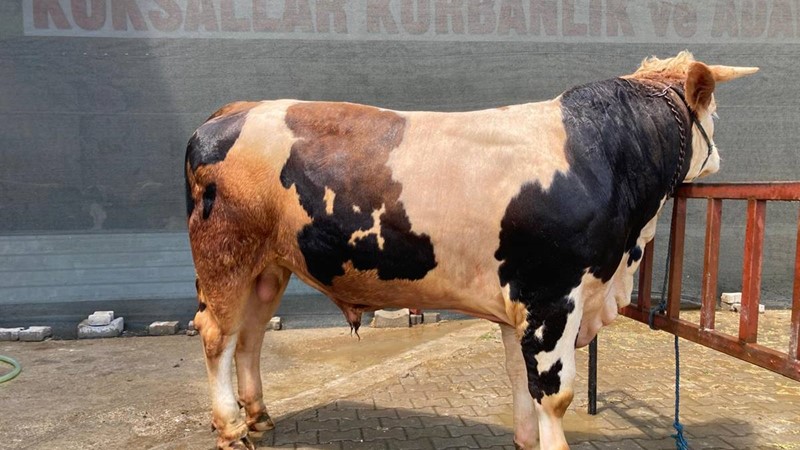 BU SİMİT BİR BAŞKA