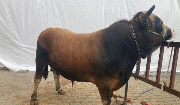 IRKINI BİLENE HELAL OLSUN