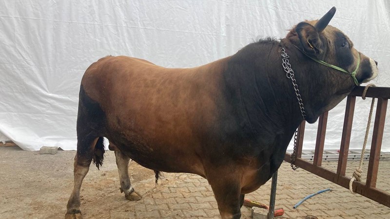 IRKINI BİLENE HELAL OLSUN