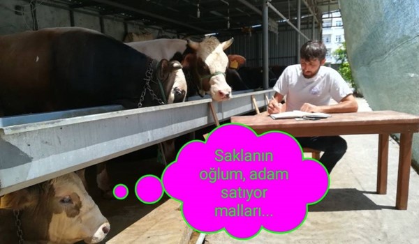 Satılmayan kaldı mı diye listeye bakarken...