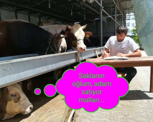 Satılmayan kaldı mı diye listeye bakarken...