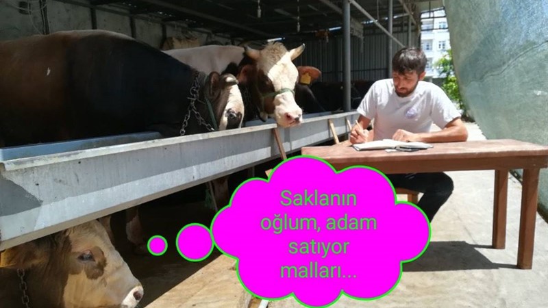 Satılmayan kaldı mı diye listeye bakarken...