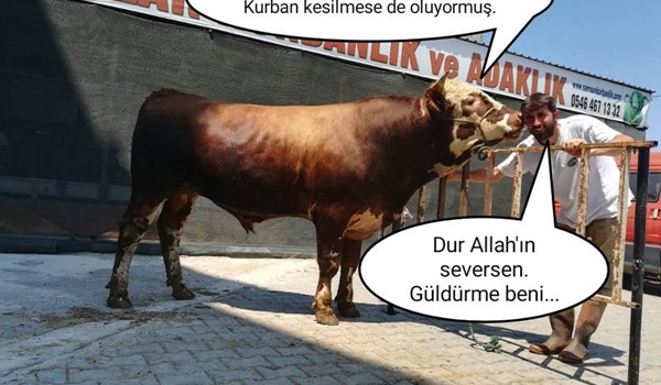 Paçayı kurtarmaya çalışırken...