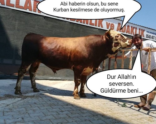 Paçayı kurtarmaya çalışırken...