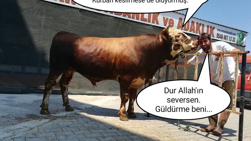 Paçayı kurtarmaya çalışırken...