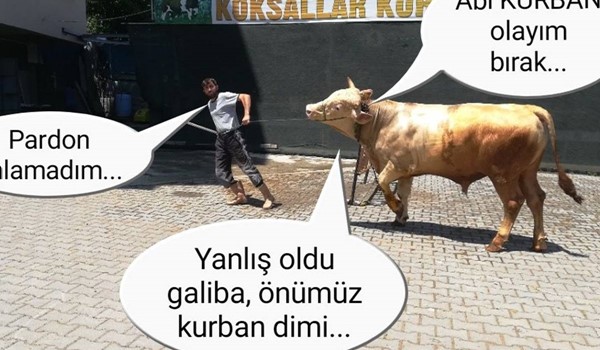 'Kurban olayım' bırak...