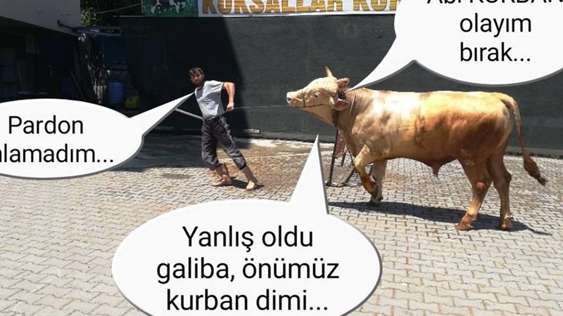 'Kurban olayım' bırak...