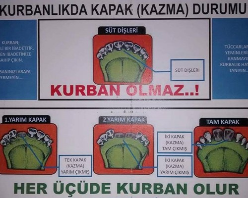 KAPAK nedir???