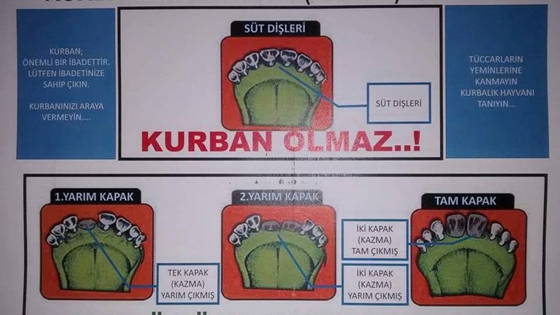 KAPAK nedir???