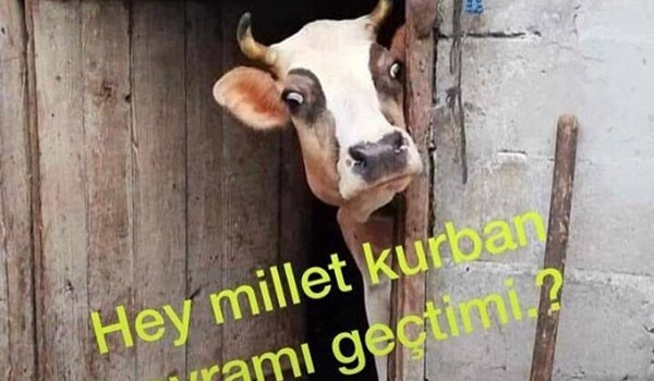 Kurban Geçti mi derken...