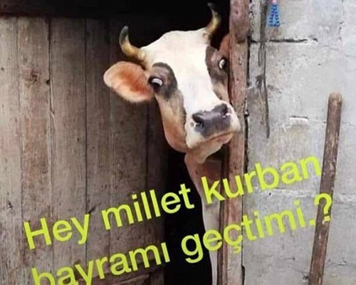 Kurban Geçti mi derken...