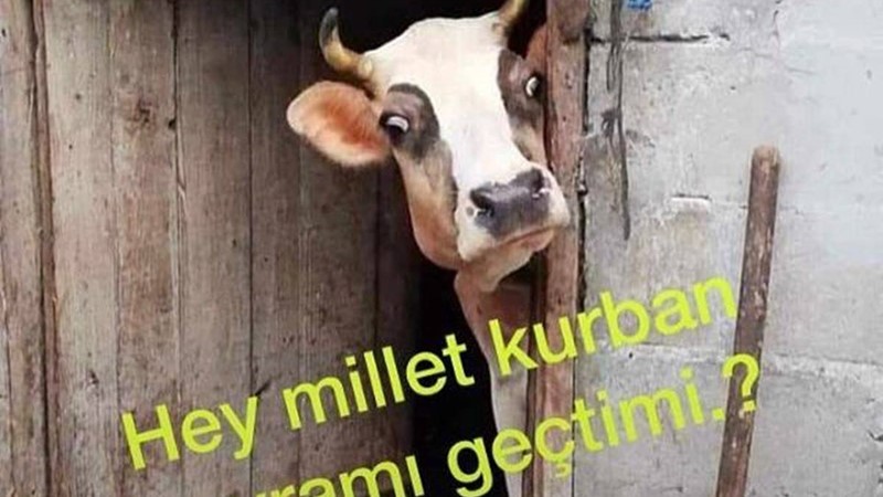 Kurban Geçti mi derken...