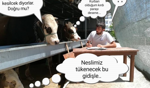 Kurban senede 2 kere olsa?