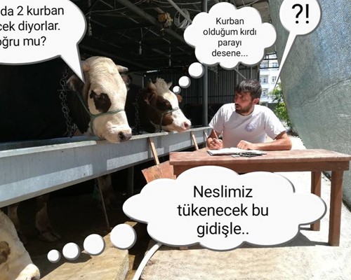 Kurban senede 2 kere olsa?