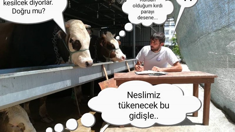 Kurban senede 2 kere olsa?