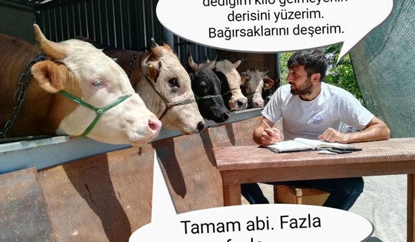 Hisseye gelecek kilo hesaplanırken...