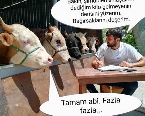 Hisseye gelecek kilo hesaplanırken...