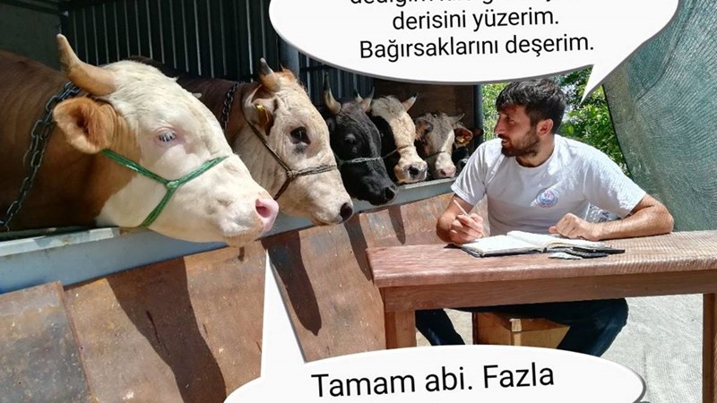 Hisseye gelecek kilo hesaplanırken...