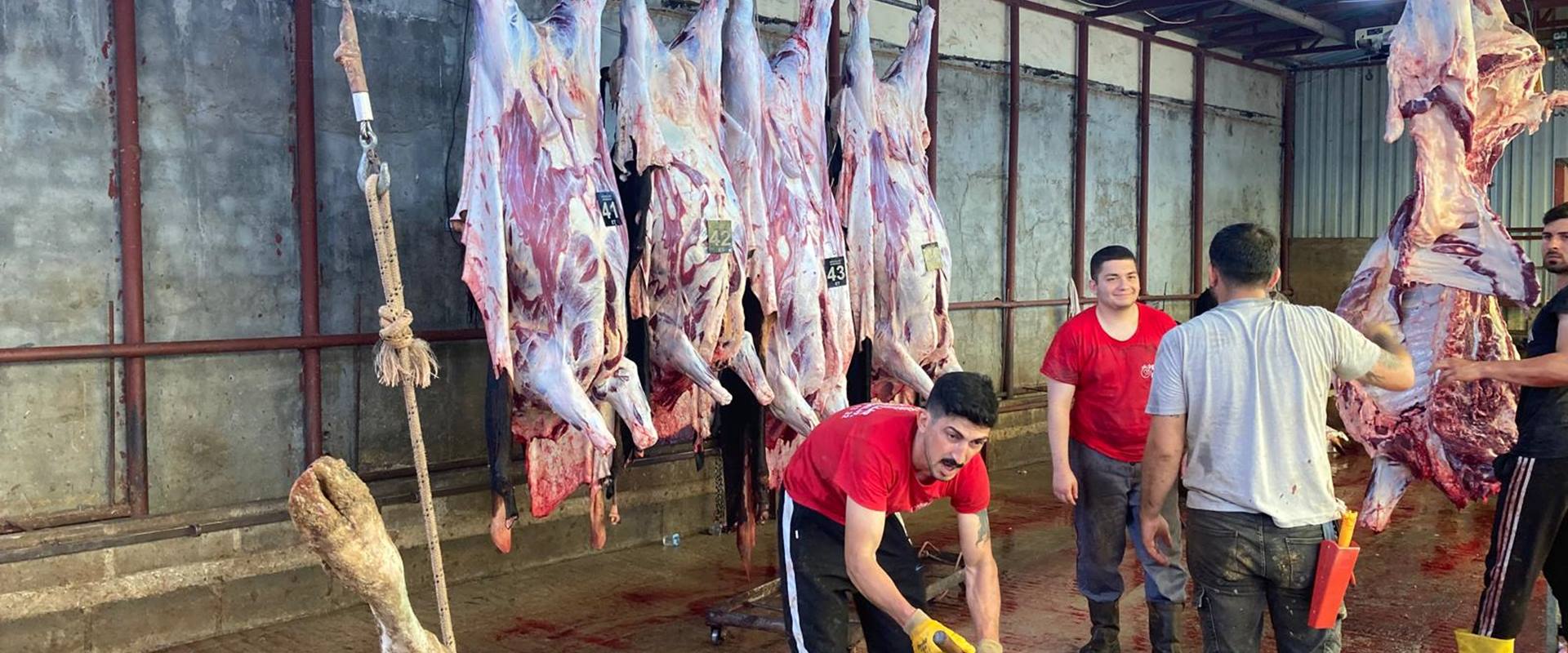 SÜPER HIZLI  SİSTEM