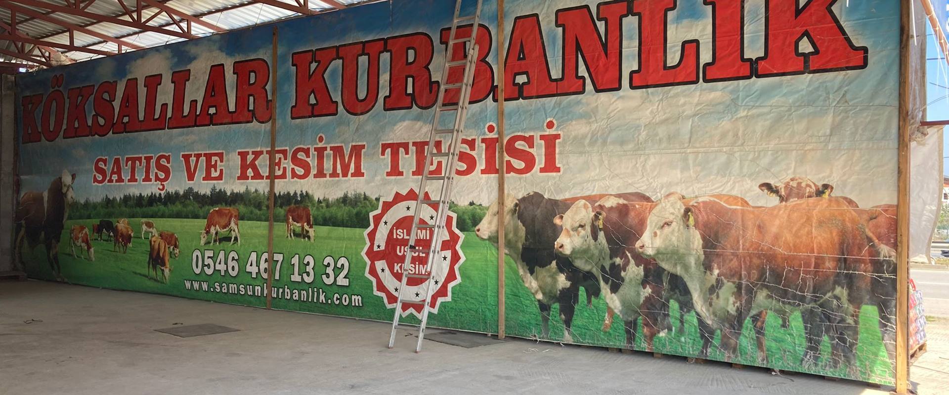 KÖKSALLAR KURBANLIK