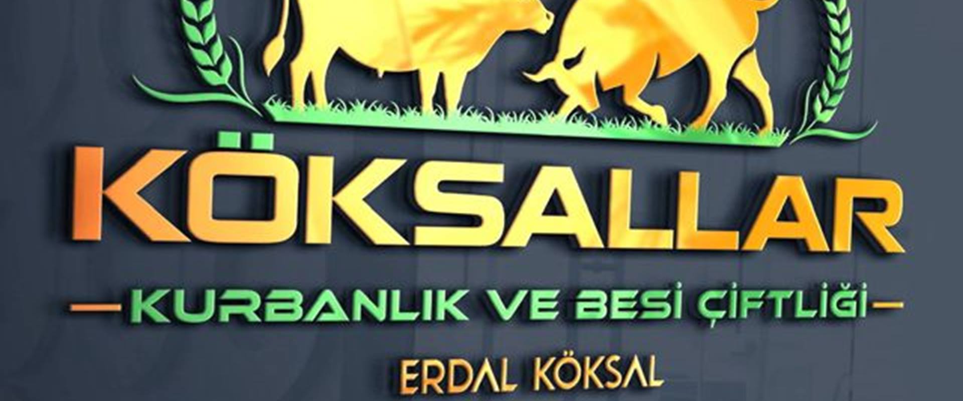 Sizlerle birlikte bir MARKA olduk.